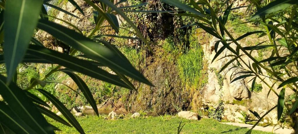 Molino Del Caracol Vila Benaoján Exterior foto