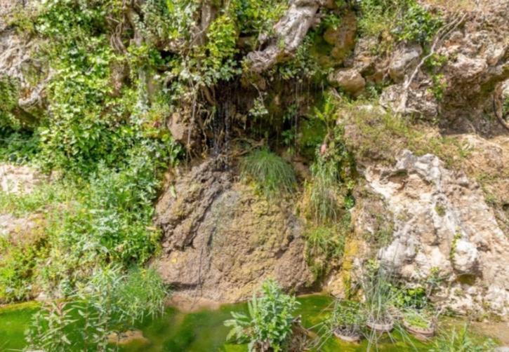 Molino Del Caracol Vila Benaoján Exterior foto