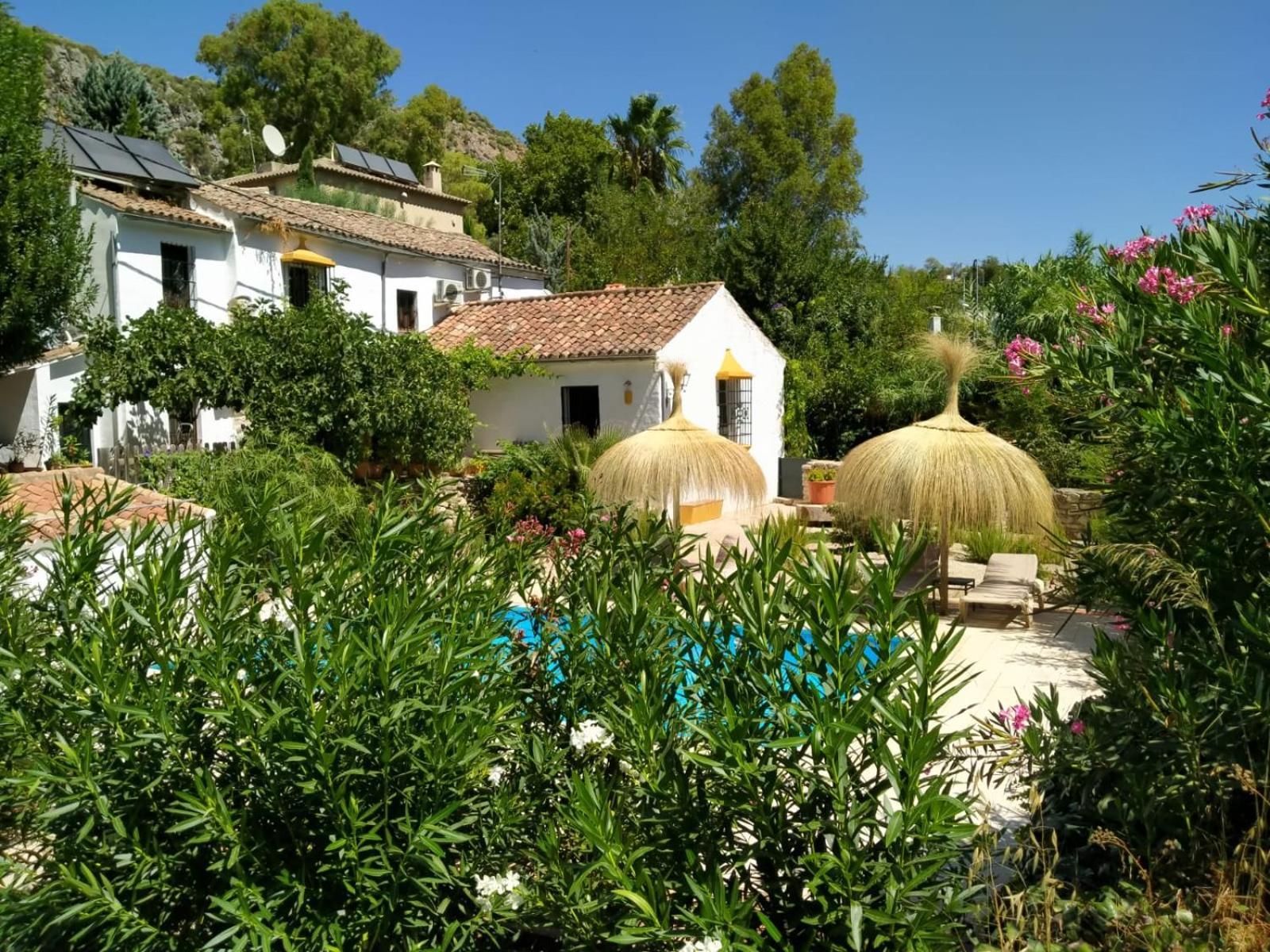Molino Del Caracol Vila Benaoján Quarto foto