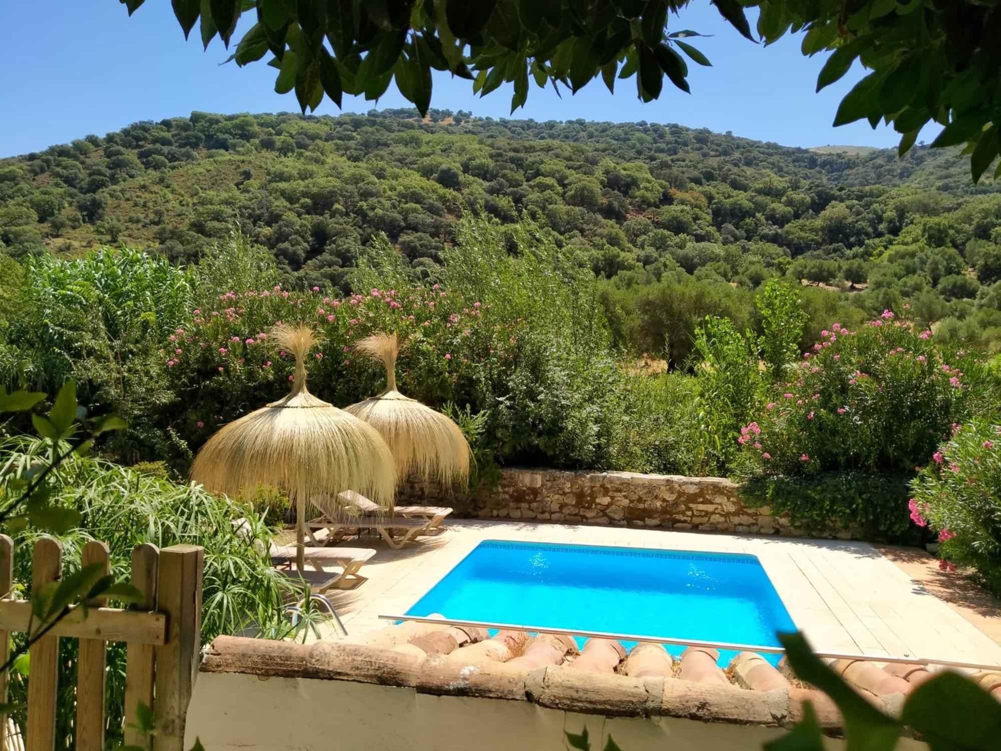 Molino Del Caracol Vila Benaoján Quarto foto